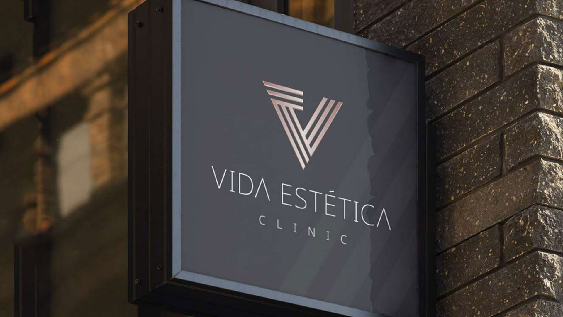 Vida Estética - 1